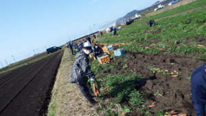 Dscf5853_2