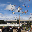 Img_0363